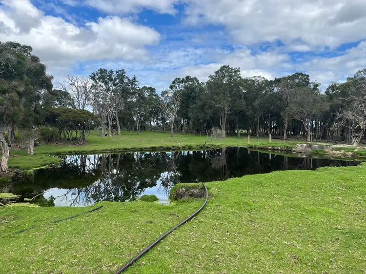 Third view of Homely rural property listing, 139 Crowea Road, Crowea WA 6262
