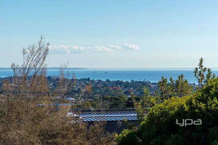 84 Cinerama Crescent