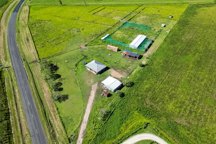 Third view of Homely rural property listing, 706 Pine Creek Road, Green Hill QLD 4865