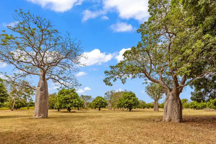 25 Macleay Street, Derby WA 6728
