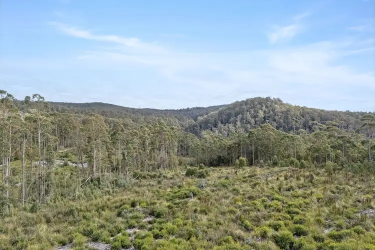 Fourth view of Homely land listing, 872 Holwell Road, Holwell TAS 7275