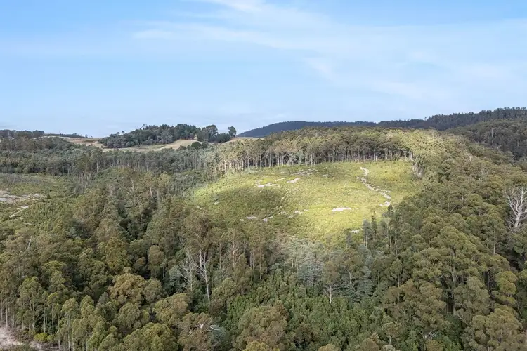 Seventh view of Homely land listing, 872 Holwell Road, Holwell TAS 7275