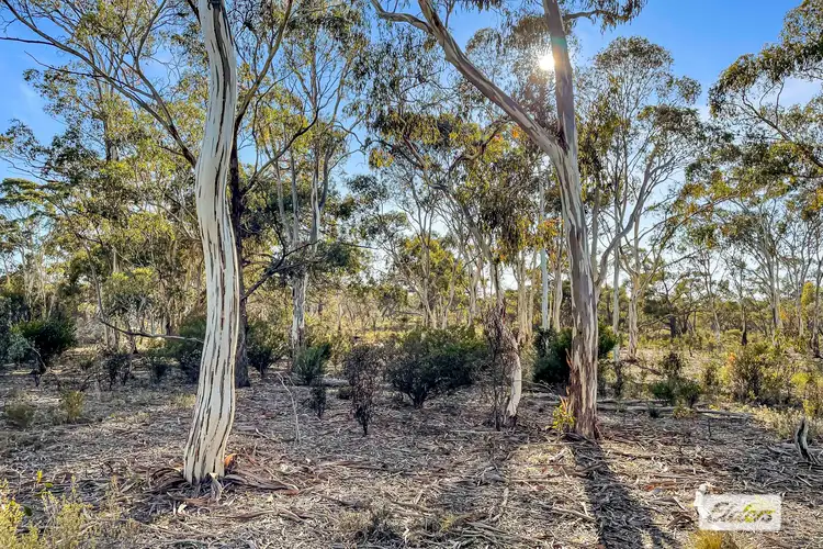 Seventh view of Homely land listing, LOT 4 Donald-Stawell Road, Stawell VIC 3380