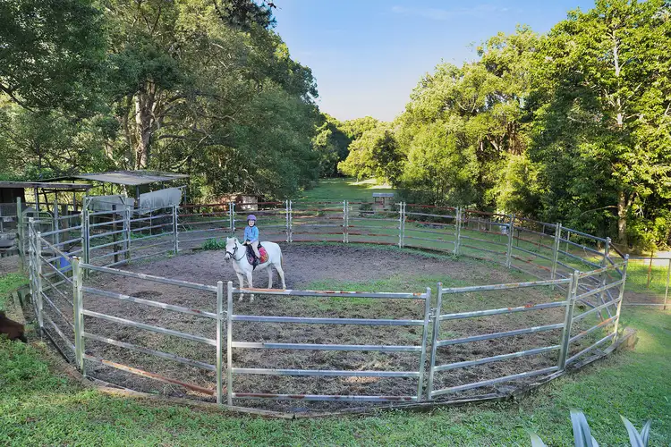 Fourth view of Homely rural property listing, 103 Old Palmwoods Road, West Woombye QLD 4559