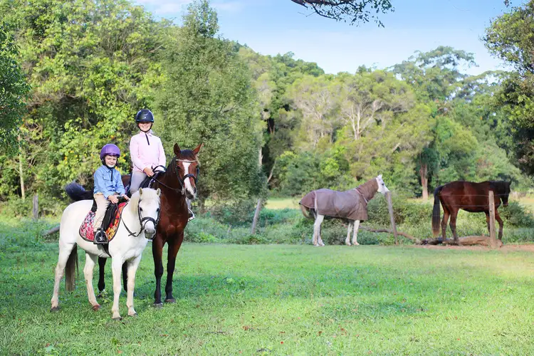 Fifth view of Homely rural property listing, 103 Old Palmwoods Road, West Woombye QLD 4559