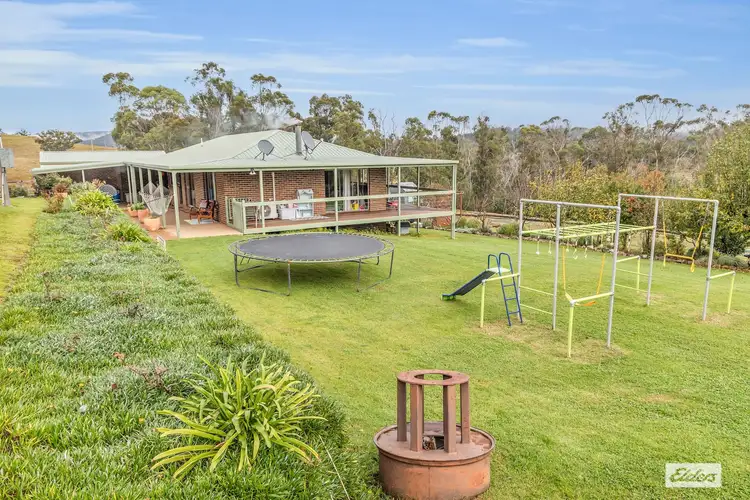 Fifth view of Homely rural property listing, 213 Myrtle Mountain Road, Wyndham NSW 2550