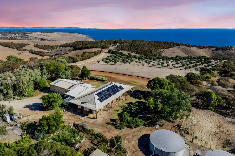 Main view of Homely rural property listing, 74 Williams Road, Cape Jervis SA 5204
