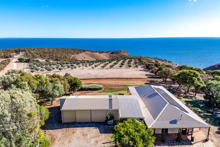 Third view of Homely rural property listing, 74 Williams Road, Cape Jervis SA 5204