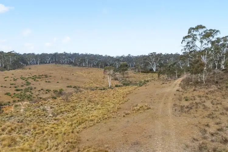 Fourth view of Homely rural property listing, 735 Warrens Corner Road, Numeralla NSW 2630