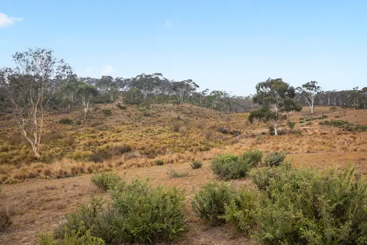 Fifth view of Homely rural property listing, 735 Warrens Corner Road, Numeralla NSW 2630