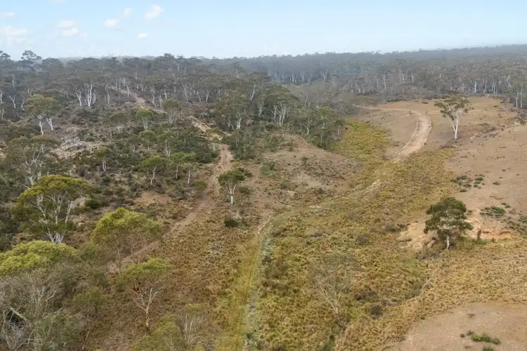 Sixth view of Homely rural property listing, 735 Warrens Corner Road, Numeralla NSW 2630