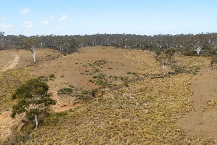Seventh view of Homely rural property listing, 735 Warrens Corner Road, Numeralla NSW 2630
