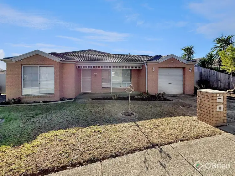 Second view of Homely house listing, 146 Lawless Drive, Cranbourne VIC 3977