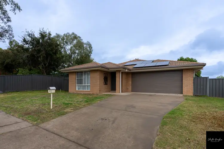 Main view of Homely house listing, 19 Tallowwood Drive, Gunnedah NSW 2380