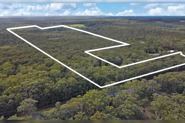Main view of Homely rural property listing, 339 The Wool Road, St Georges Basin NSW 2540