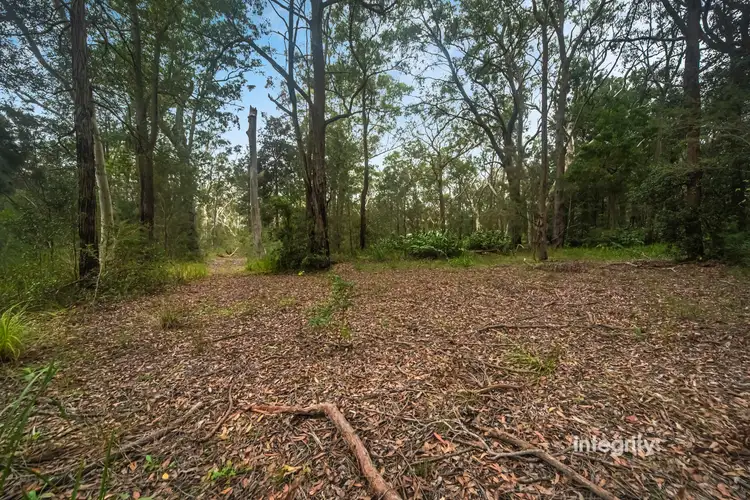 Seventh view of Homely rural property listing, 339 The Wool Road, St Georges Basin NSW 2540