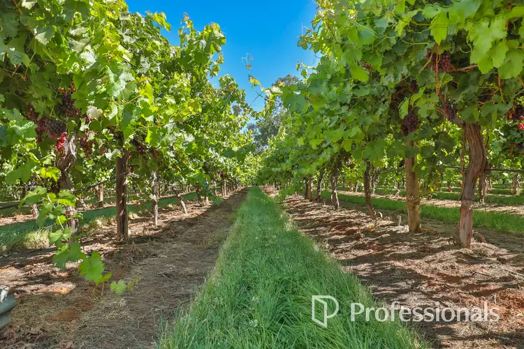 Second view of Homely rural property listing, Level (Lot 2/PS911361M)/Cnr Twentieth Street & Boobook Avenue, Cardross VIC 3496