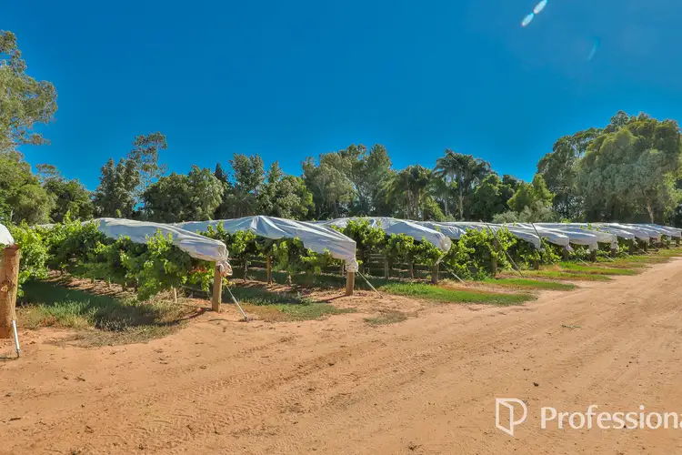 Fourth view of Homely rural property listing, Level (Lot 2/PS911361M)/Cnr Twentieth Street & Boobook Avenue, Cardross VIC 3496