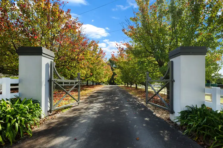 Third view of Homely rural property listing, 190 Ridge Road, Oakdale NSW 2570