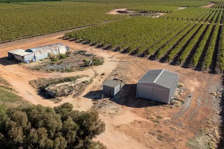 Second view of Homely rural property listing, 2 Balfour Ogilvy Avenue, Loxton SA 5333