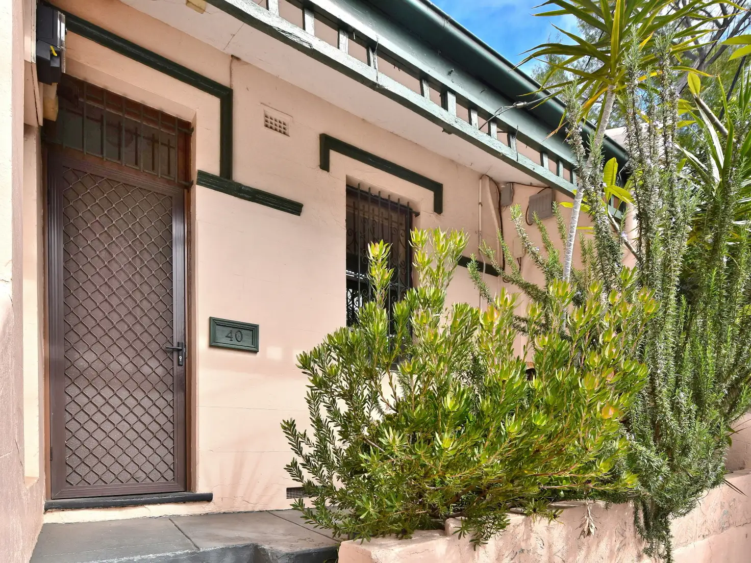 Main view of Homely house listing, 40 Wilford Street, Newtown NSW 2042