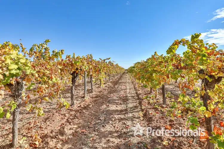 Fifth view of Homely rural property listing, 284 Sandilong Avenue, Nichols Point VIC 3501