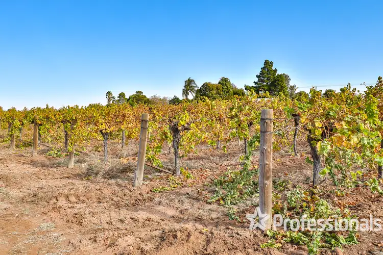 Sixth view of Homely rural property listing, 284 Sandilong Avenue, Nichols Point VIC 3501