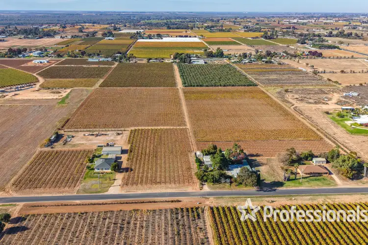 Seventh view of Homely rural property listing, 284 Sandilong Avenue, Nichols Point VIC 3501