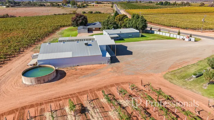 225 Stewart Road, Red Cliffs VIC 3496