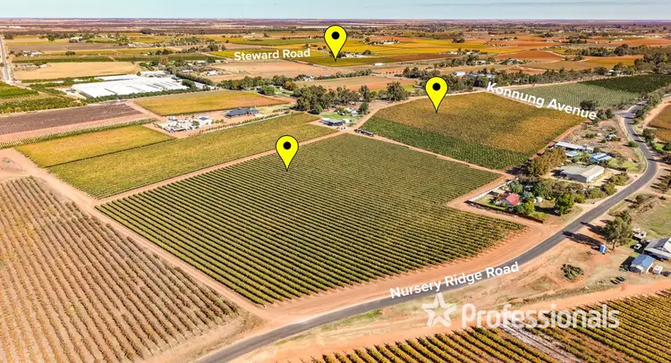 225 Stewart Road, Red Cliffs VIC 3496
