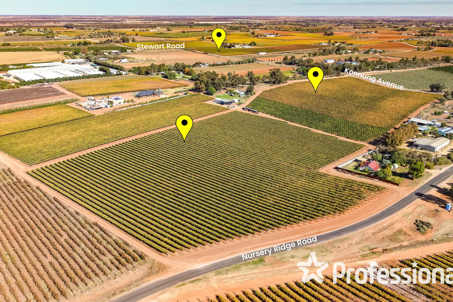 Main view of Homely rural property listing, 225 Stewart Road, Red Cliffs VIC 3496