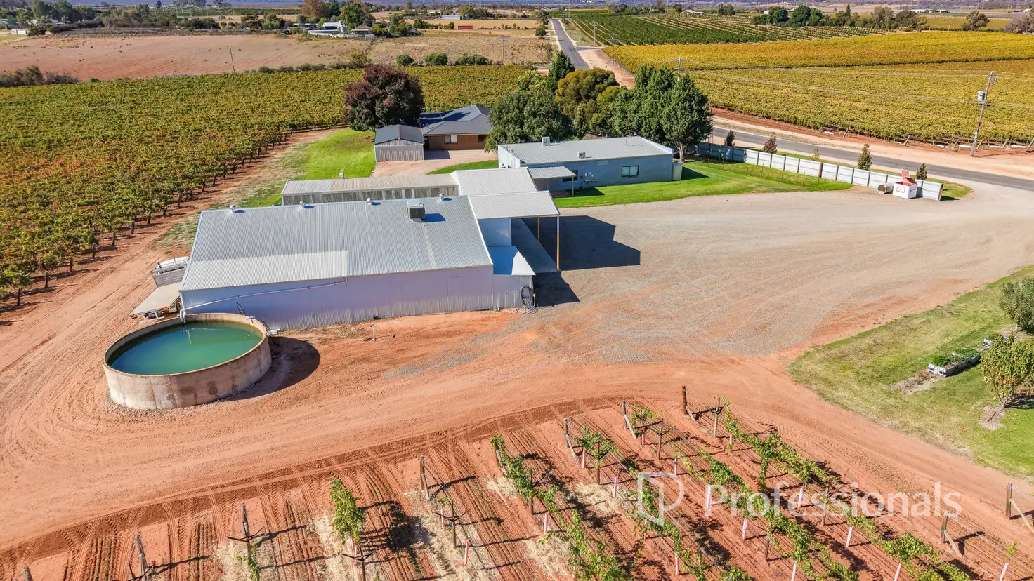 Main view of Homely rural property listing, 225 Stewart Road, Red Cliffs VIC 3496