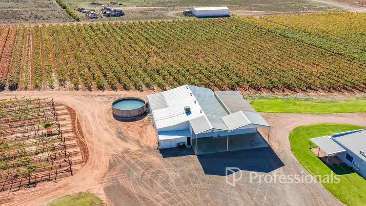 Second view of Homely rural property listing, 225 Stewart Road, Red Cliffs VIC 3496