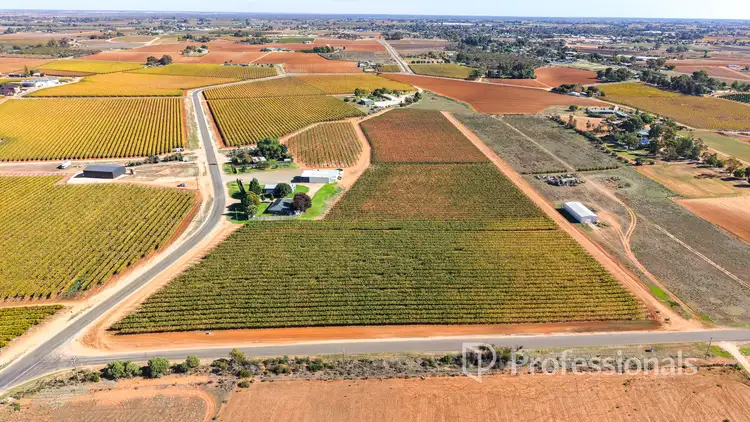 Third view of Homely rural property listing, 225 Stewart Road, Red Cliffs VIC 3496