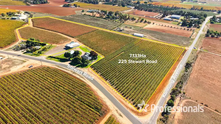 Third view of Homely rural property listing, 225 Stewart Road, Red Cliffs VIC 3496