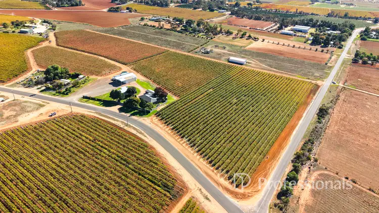 Fourth view of Homely rural property listing, 225 Stewart Road, Red Cliffs VIC 3496