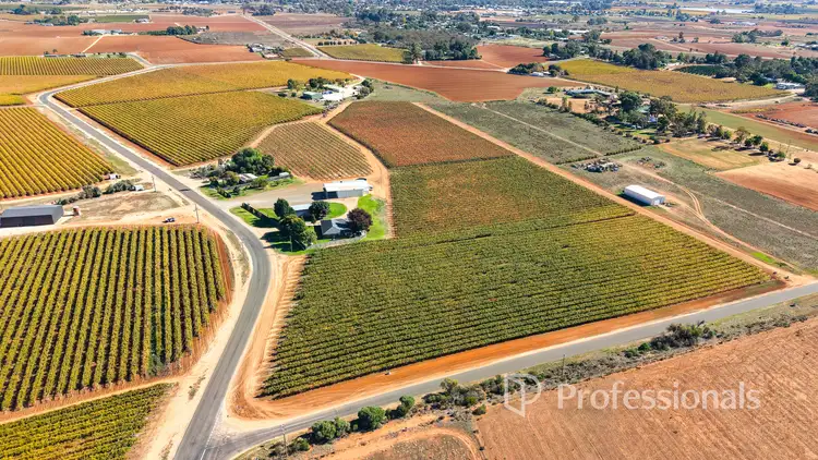 Sixth view of Homely rural property listing, 225 Stewart Road, Red Cliffs VIC 3496