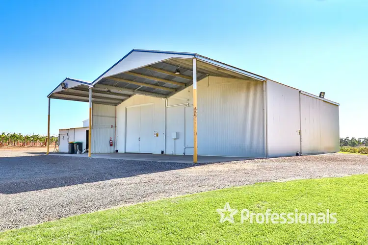 Seventh view of Homely rural property listing, 225 Stewart Road, Red Cliffs VIC 3496