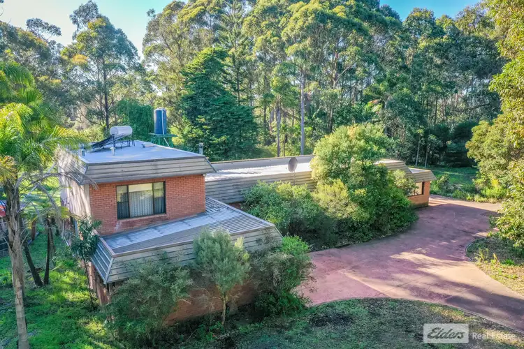 Fifth view of Homely house listing, 2019 Lower Denmark Road, Torbay WA 6330