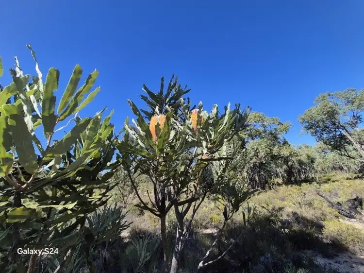 Fifth view of Homely rural property listing, 777 Teatree Road, Bindoon WA 6502