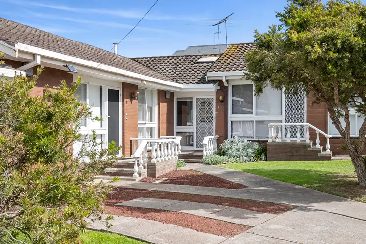 3/157 Minerva Road, Newtown VIC 3220