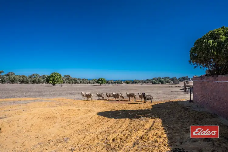 Fifth view of Homely house listing, 29 Hackett Road, Waggrakine WA 6530