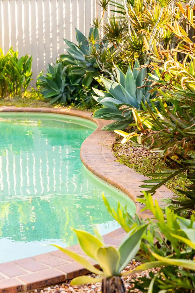 Fifth view of Homely house listing, 12 Trafalgar Drive, Kippa-ring QLD 4021