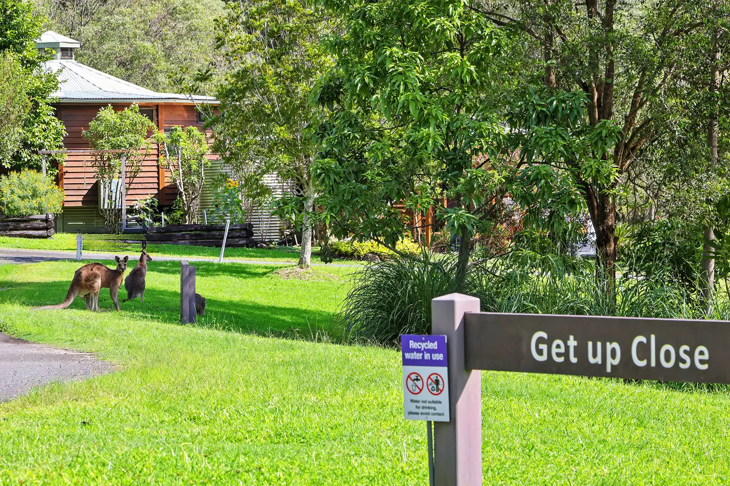 Main view of Homely house listing, 2 Getup Close, Currumbin Valley QLD 4223