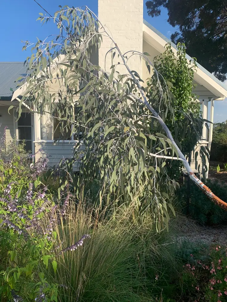 Second view of Homely house listing, 7 Camp Street, Maldon VIC 3463