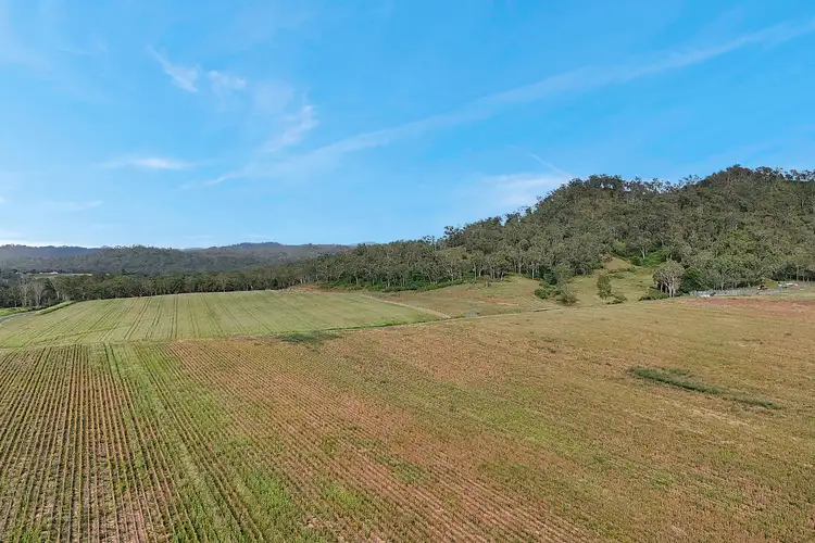 Fifth view of Homely rural property listing, 8 Pinevale Road, Pinevale QLD 4754