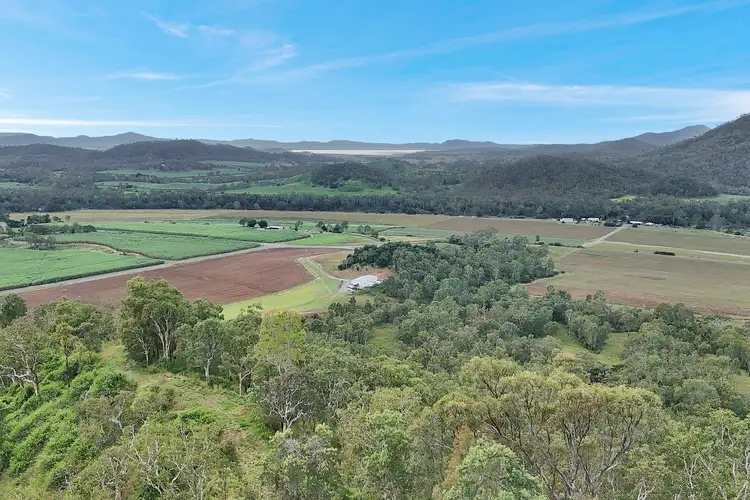 Seventh view of Homely rural property listing, 8 Pinevale Road, Pinevale QLD 4754