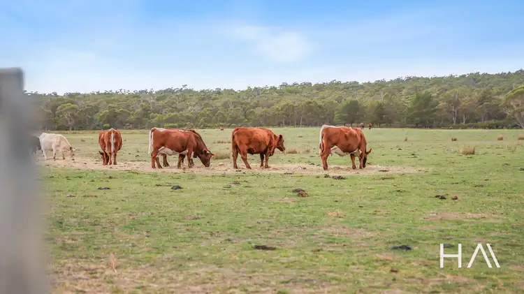 93 Douglas Road, Lefroy TAS 7252