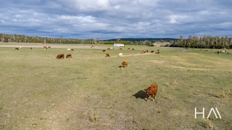 Third view of Homely house listing, 93 Douglas Road, Lefroy TAS 7252