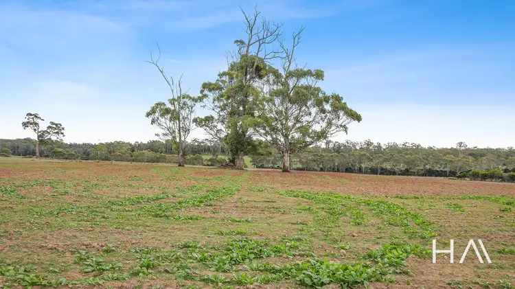 Fourth view of Homely house listing, 93 Douglas Road, Lefroy TAS 7252